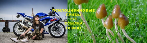 ешки Алексин