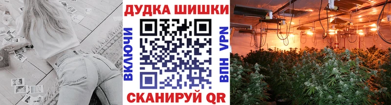 Шишки марихуана THC 21% закладка блэк спрут зеркало Железноводск